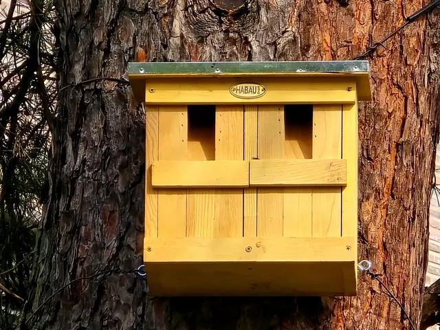 Hier haben wir ein Spatzenhaus. | Foto: Heidrun Rosenberger
