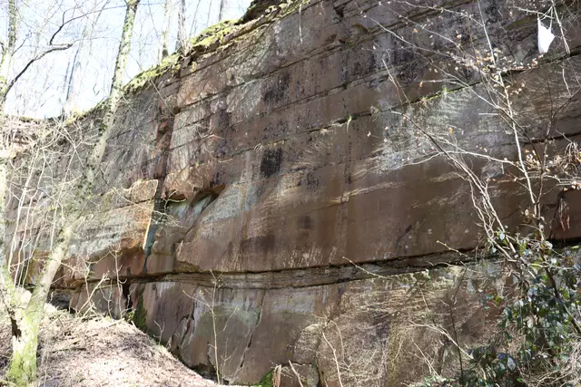 Schilfsandsteinbruch | Foto: Marga Specht