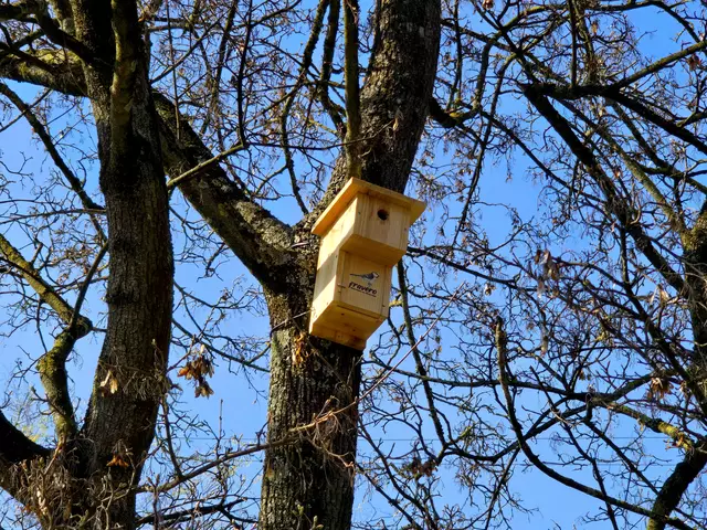 Foto: Heidrun Rosenberger