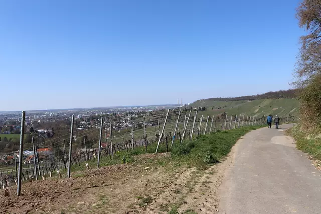 Blick auf Heilbronn | Foto: Marga Specht