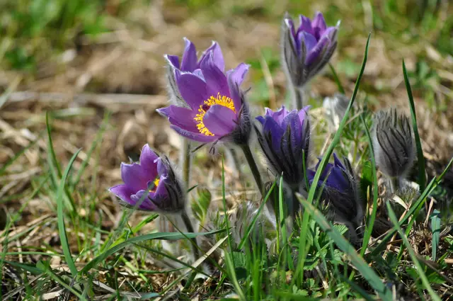 Einfach wunderschön. | Foto: Daniela Somers