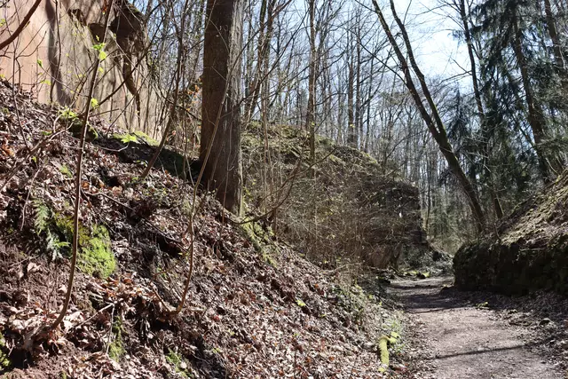 Weg durch das Naturschutzgebiet Schilfsandsteinbruch | Foto: Marga Specht