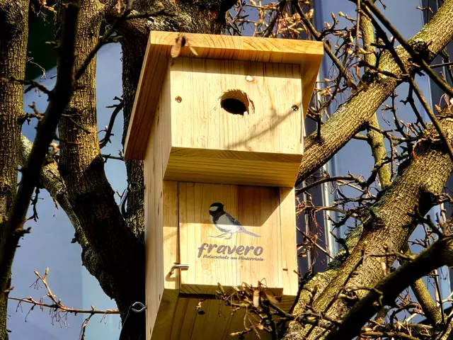 Foto: Heidrun Rosenberger