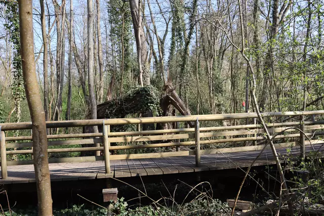 Brücke über den Pfühlbach | Foto: Marga Specht