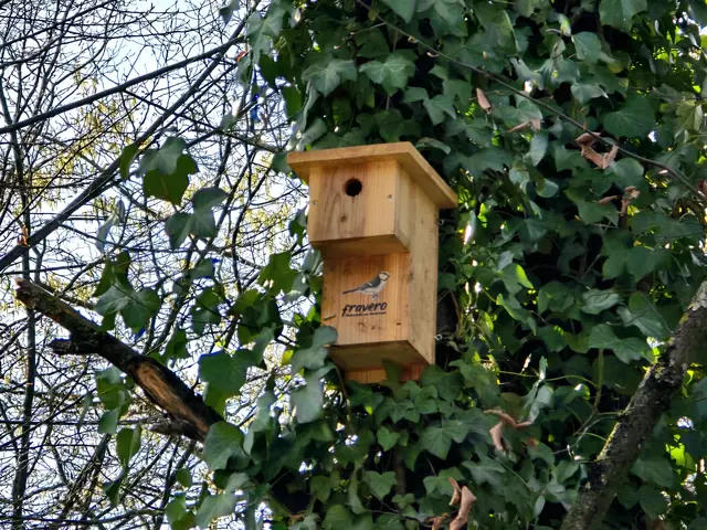 Foto: Heidrun Rosenberger