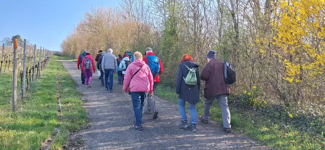 Foto: Monika Breusch