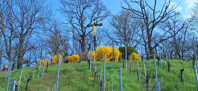 Kaybergkreuz | Foto: Monika Breusch