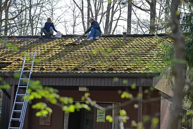 Teamwork auf dem Dach. | Foto: Michael Harmsen