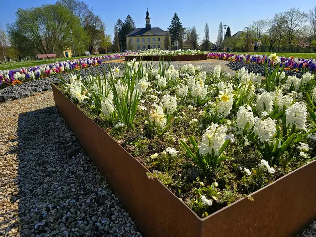 Foto: Heidrun Rosenberger
