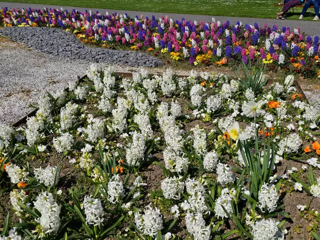 Foto: Heidrun Rosenberger