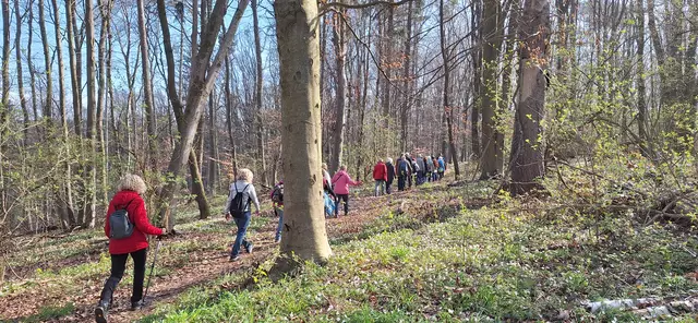 Foto: Monika Breusch