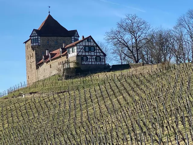 Burg Wildeck  | Foto: Beate Bonte