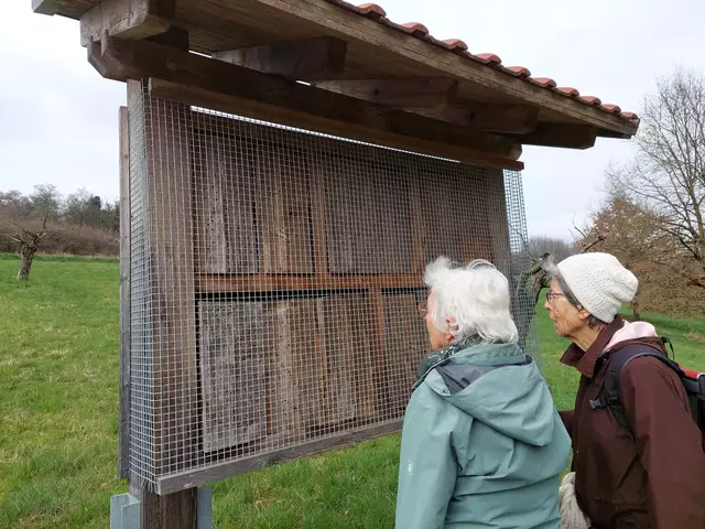 Wildbienen bevorzugen Ein-Zimmer-Wohnungen und es herschte reger Flugverkehr. | Foto: Foto privat