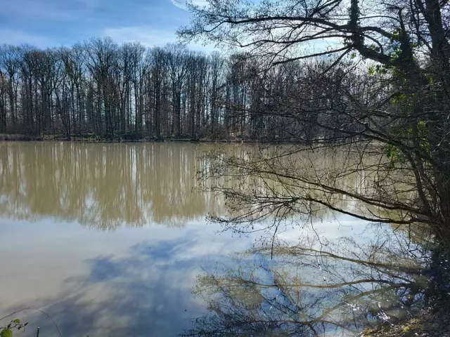 Der idyllisch im Wald liegende Annasee.  | Foto: Petra Schüssler 