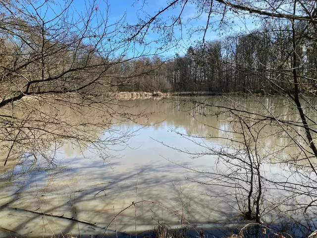 Hier kann man Ruhe schauen und atmen.   | Foto: Beate Bonte