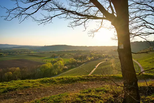 schöne Aussicht in Richtung Schloss Stocksberg | Foto: Ulrich Seidel