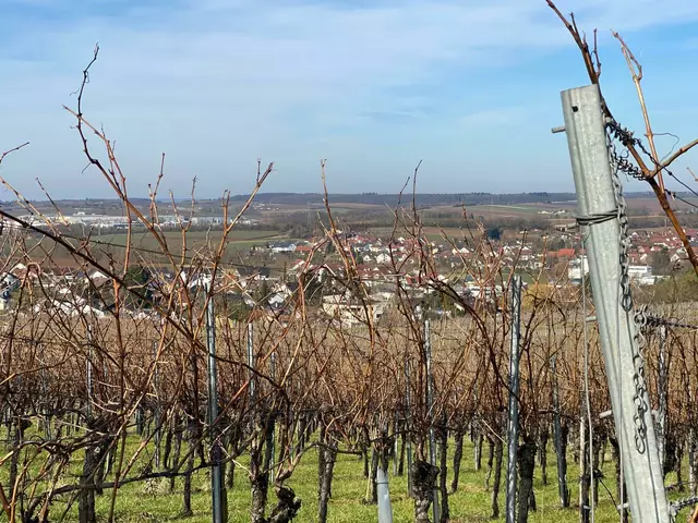 Blick in die Umgebung  | Foto: Beate Bonte 