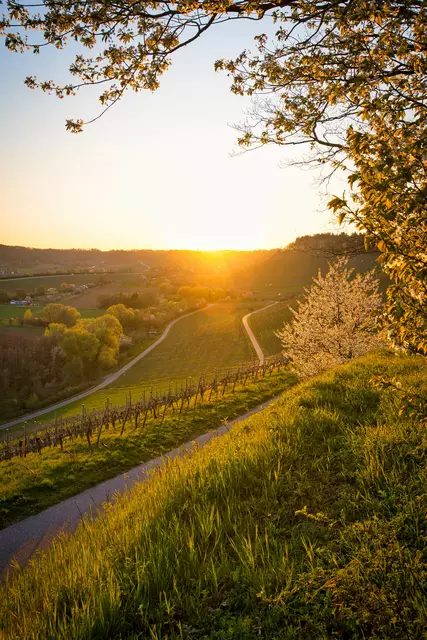 Auf Wiedersehen | Foto: Ulrich Seidel