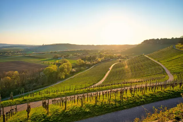 schöner Blick im Zabergäu im Frühling | Foto: Ulrich Seidel