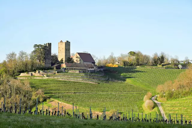 Burg Neipperg | Foto: Ulrich Seidel