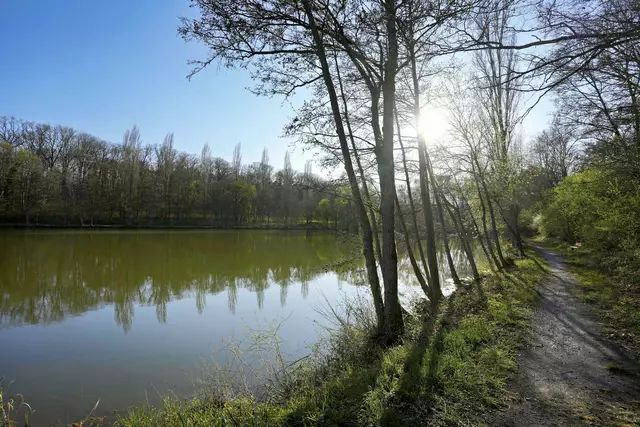 am Forstbachsee | Foto: Ulrich Seidel