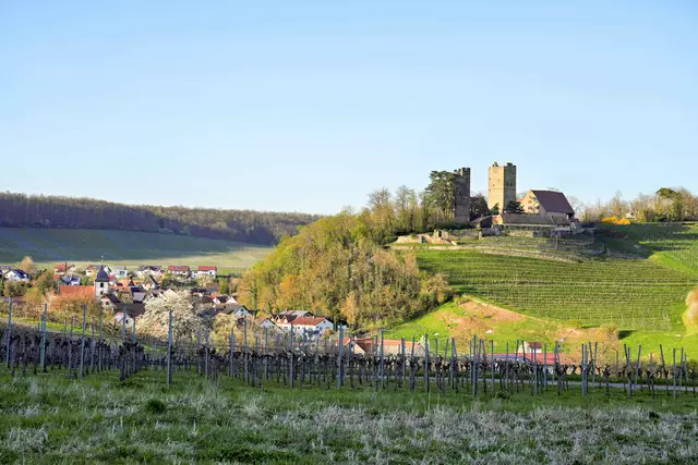 Burg Neipperg mit Ort Neipperg | Foto: Ulrich Seidel
