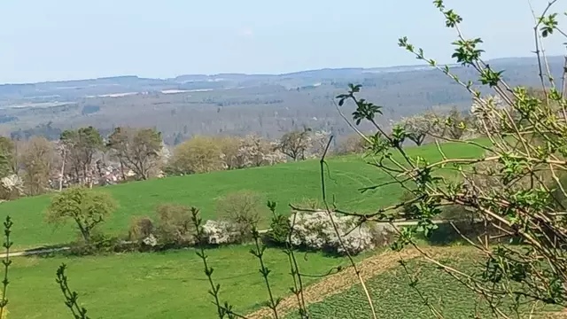 Blick in die Ferne | Foto: privat