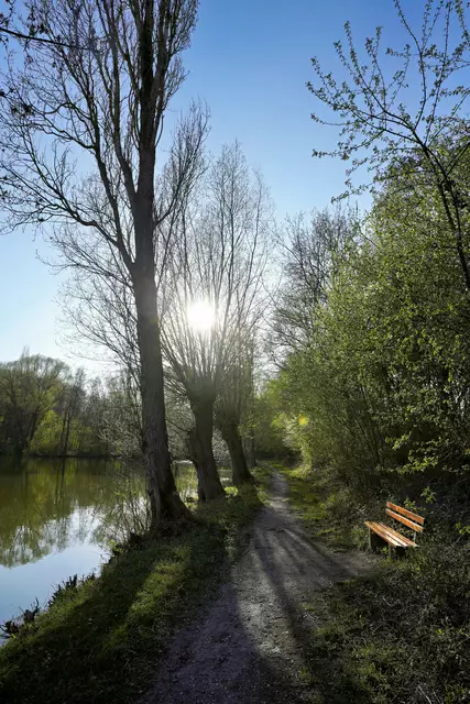 Weg um den Forstbachsee | Foto: Ulrich Seidel