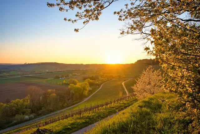 da lässt es sich doch aushalten | Foto: Ulrich Seidel