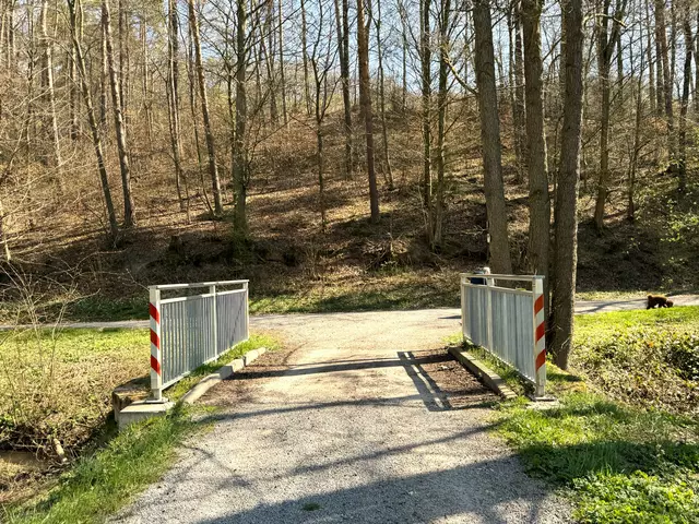 Foto: Heide Böllinger aus Bad Friedrichshall