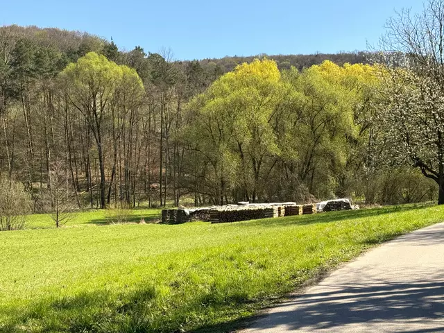 Foto: Heide Böllinger aus Bad Friedrichshall