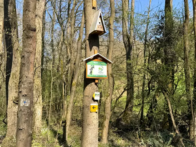 Foto: Heide Böllinger aus Bad Friedrichshall