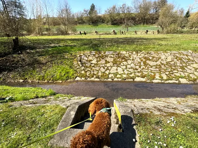 Foto: Heide Böllinger aus Bad Friedrichshall