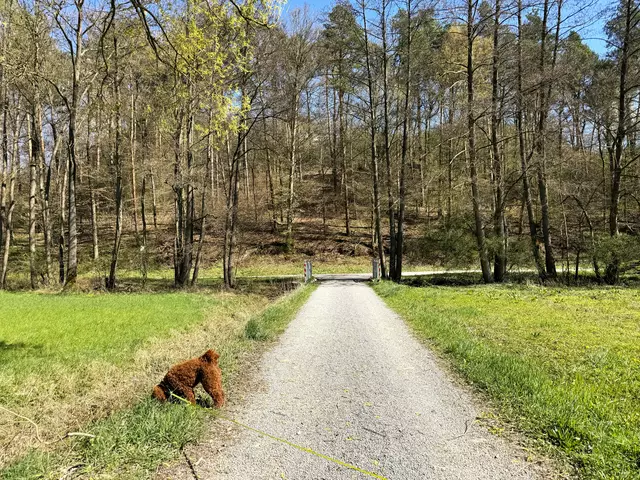 Foto: Heide Böllinger aus Bad Friedrichshall