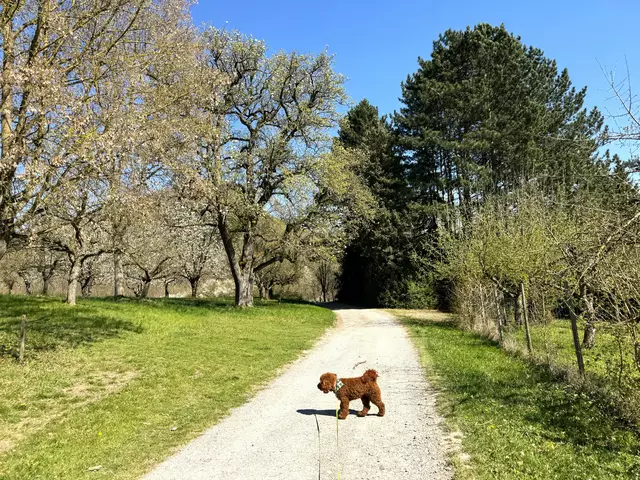 Foto: Heide Böllinger aus Bad Friedrichshall