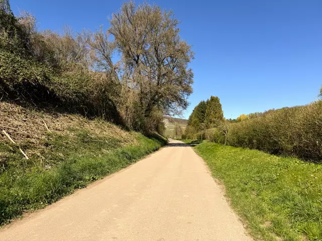 Foto: Heide Böllinger aus Bad Friedrichshall