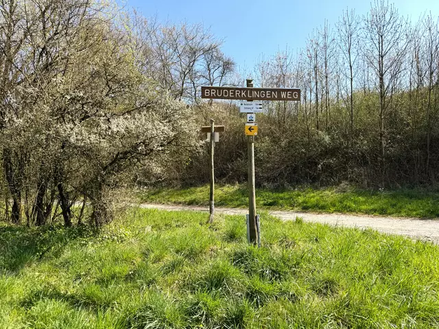 Foto: Heide Böllinger aus Bad Friedrichshall
