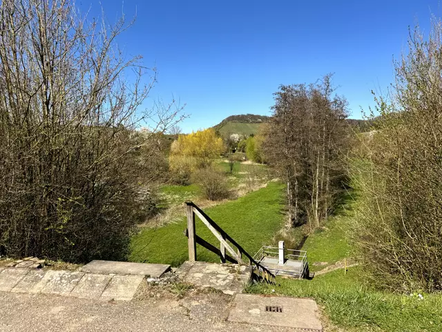 Foto: Heide Böllinger aus Bad Friedrichshall