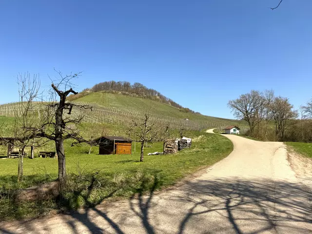 Foto: Heide Böllinger aus Bad Friedrichshall