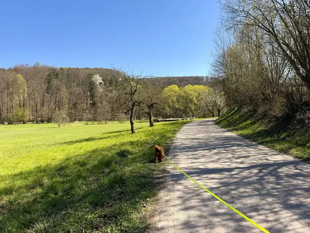 Foto: Heide Böllinger aus Bad Friedrichshall