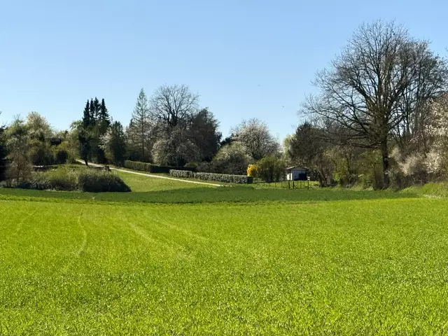 Foto: Heide Böllinger aus Bad Friedrichshall