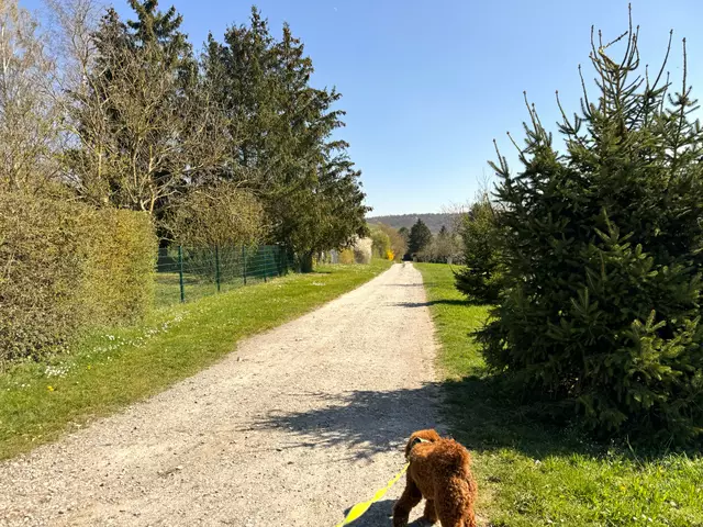 Foto: Heide Böllinger aus Bad Friedrichshall