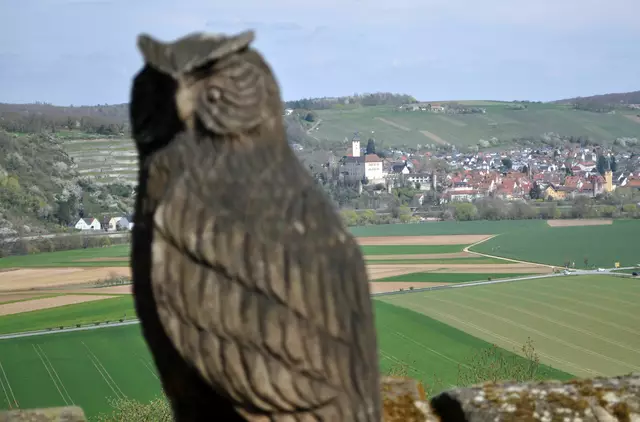 Blick vom Wehrgang zur Burg Horneck | Foto: Daniela Somers