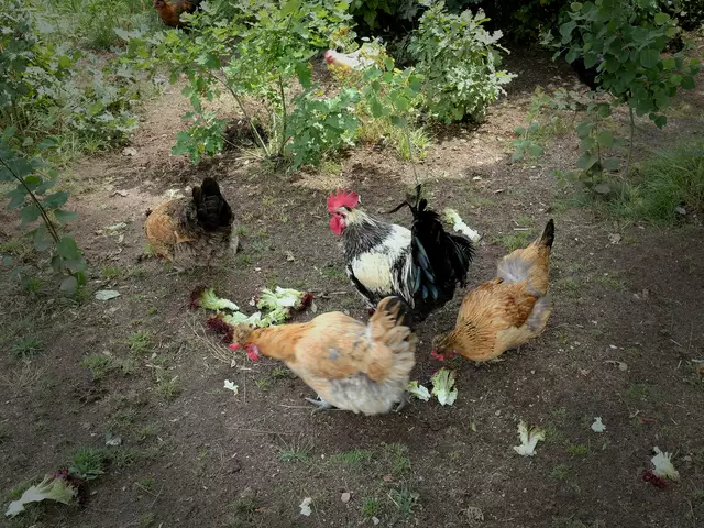 Foto: Petra Wagner