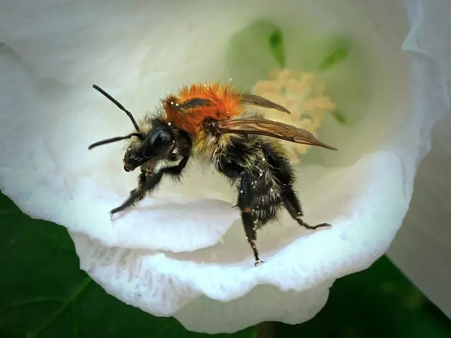 Foto: Petra Wagner