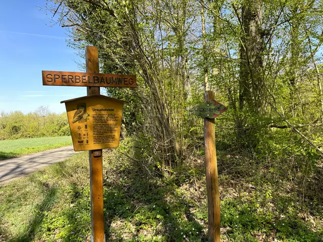 Foto: Heide Böllinger aus Bad Friedrichshall