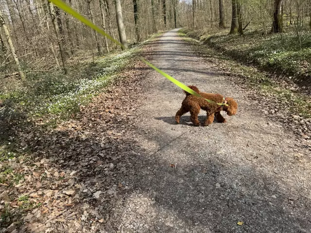 Foto: Heide Böllinger aus Bad Friedrichshall