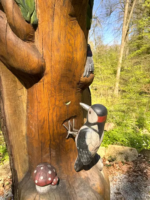 Foto: Heide Böllinger aus Bad Friedrichshall
