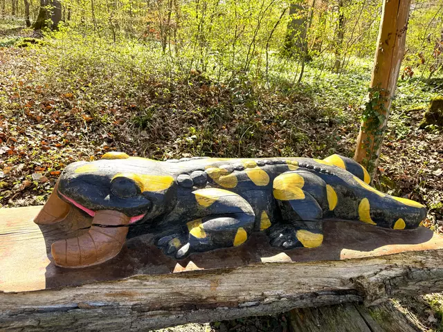 Foto: Heide Böllinger aus Bad Friedrichshall