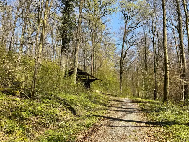 Foto: Heide Böllinger aus Bad Friedrichshall